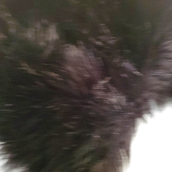 Black faux fur vest. - Picture 3 of 3